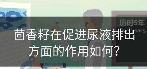 茴香籽在促进尿液排出方面的作用如何？